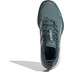 adidas Terrex Agravic GTX Heren