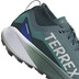 adidas Terrex Agravic GTX Heren