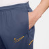 Nike Academy Pant