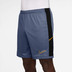Nike Academy Short