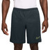 Nike Academy Shorts