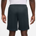Nike Academy Shorts