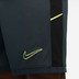 Nike Academy Shorts