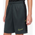 Nike Academy Short Kinder