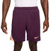 Nike Strike Short