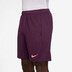 Nike Strike Short