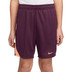 Nike Strike Short Kinder 1