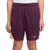 Nike Strike Short Kinder 3