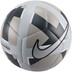 Nike Futsal Maestro Kids 1
