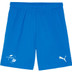 VV Oeken - Puma GOAL Trainingsset Kids