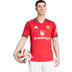 adidas Manchester United Authentic Thuis De Ligt