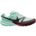 Nike Terra Kiger 10 Herren