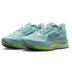 Nike Pegasus Premium Herren