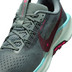 Nike Pegasus Trail 5 Herr