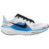 Nike Pegasus 41 Herren