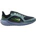 Nike Pegasus 41 GTX Heren