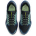 Nike Pegasus 41 GTX Heren