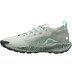 Nike Pegasus Trail 5 GTX Heren