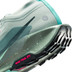 Nike Pegasus Trail 5 GTX Heren