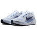 Nike Pegasus 41 Dames