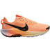 Nike Pegasus Trail 5 Heren