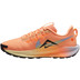 Nike Pegasus Trail 5 Heren
