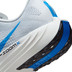 Nike Pegasus Plus Herren