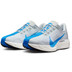Nike Pegasus Plus Herren
