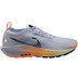 Nike Pegasus Trail 5 GTX Heren