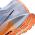 Nike Pegasus Trail 5 GTX Men