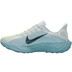 Nike Pegasus Plus Men