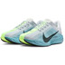 Nike Pegasus Plus Herren