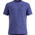 Odlo ZeroWeight Crew Neck Chilltec T-Shirt Herren