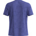Odlo ZeroWeight Crew Neck Chilltec T-Shirt Herren