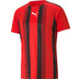 Puma Teamliga Shirt