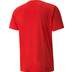 Puma Teamliga Shirt