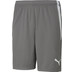 Puma Teamliga Short