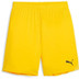Puma GOAL Training Short Kids 1