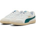 Puma King 21 Indoor 4
