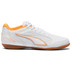 Puma Truco IV Indoor Junior 1