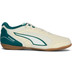 Puma Trick IV Indoor Kids 1