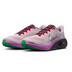 Nike Pegasus 41 FK Damen