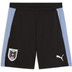 Puma Oostenrijk Trainingsset WK 2026 4