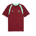 Puma Switzerland Training Shirt World Cup 2026 3