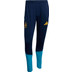 adidas Spain Training Pant WC 2026 3