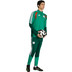 adidas Algeria Tracksuit WC 2026 12