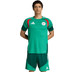adidas Algeria Training Shirt WC 2026 1