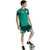 adidas Algeria Training Shorts WC 2026 4