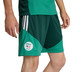 adidas Algeria Training Shorts WC 2026 5