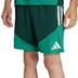 adidas Algeria Training Shorts WC 2026 6